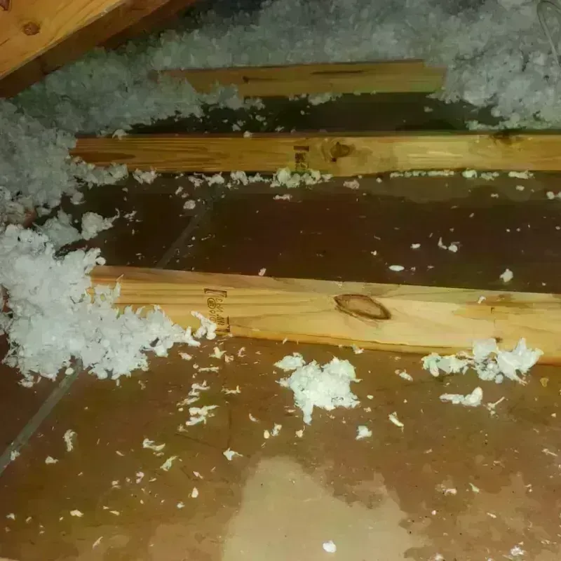 Attic Water Damage in Liberty, SC